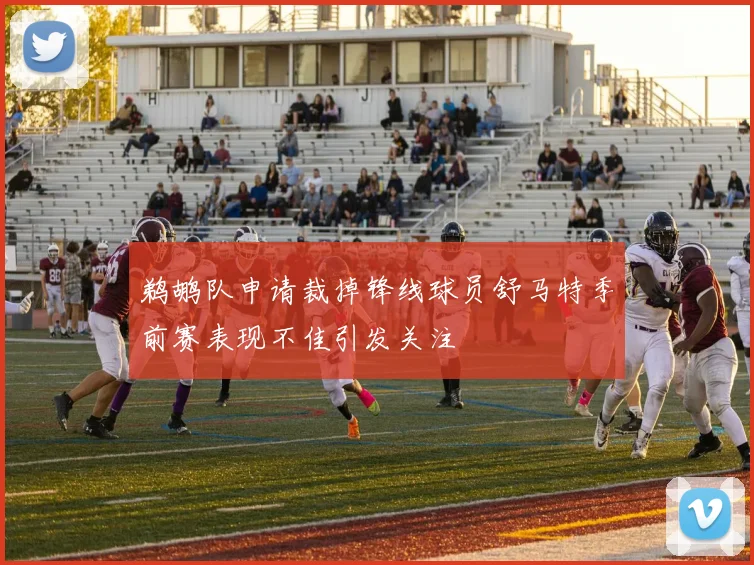 鹈鹕队申请裁掉锋线球员舒马特季前赛表现不佳引发关注