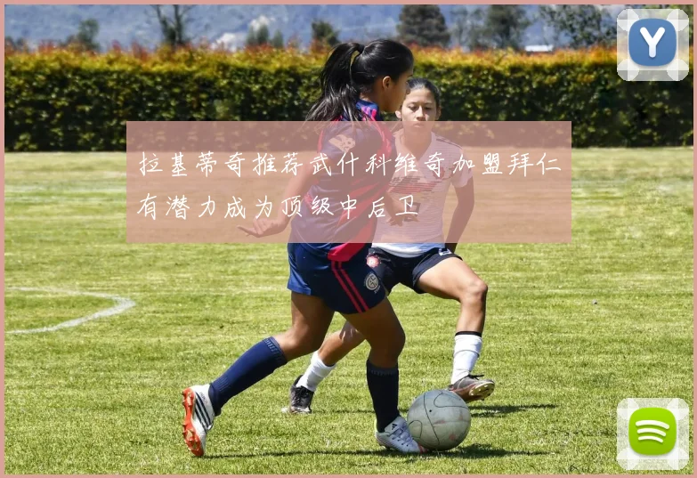 拉基蒂奇推荐武什科维奇加盟拜仁有潜力成为顶级中后卫