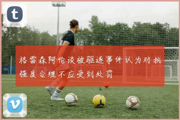 格雷森阿伦谈被驱逐事件认为对抗强度合理不应受到处罚